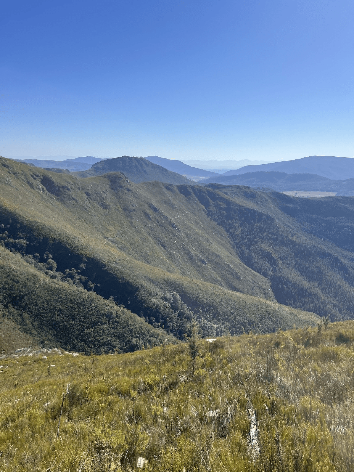 Taken from Dizzy Heights, with the trail that I came in on in in view