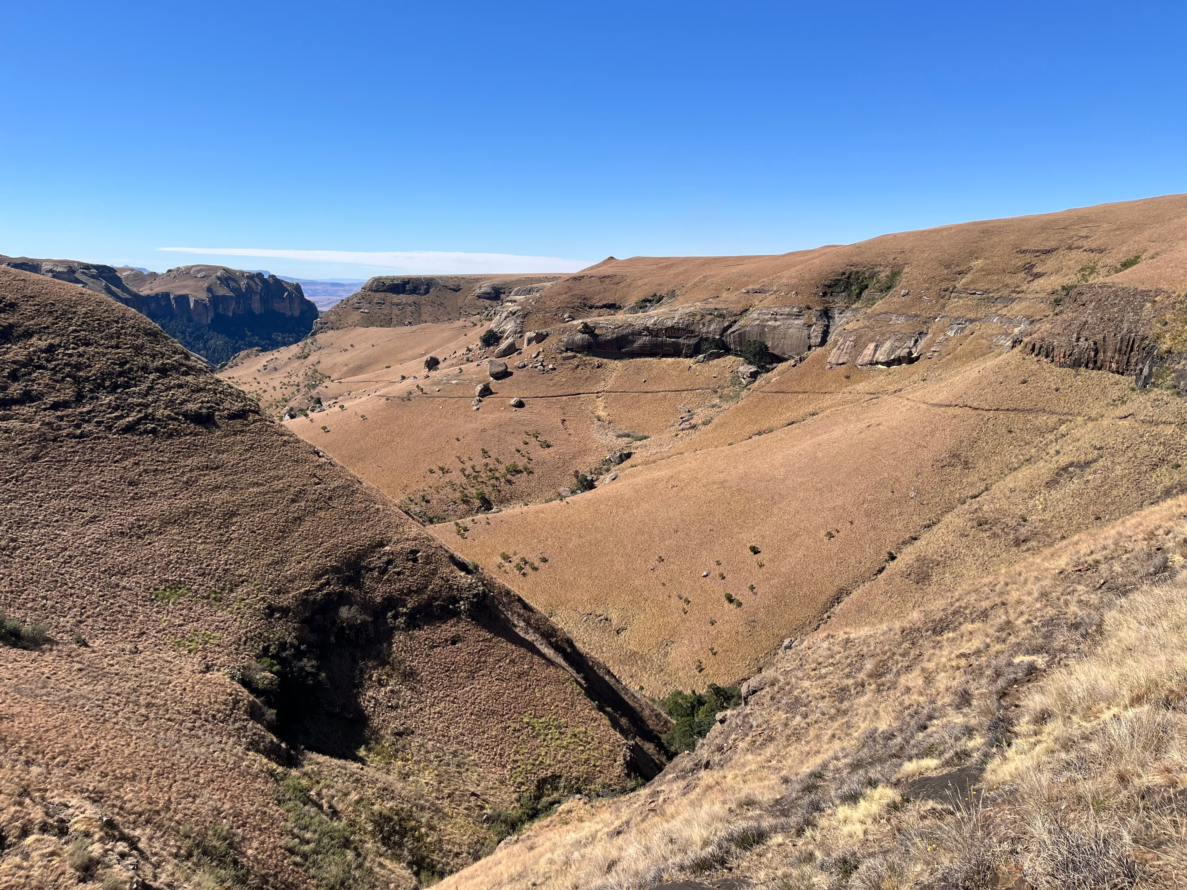The best trail that I’ve ever run
