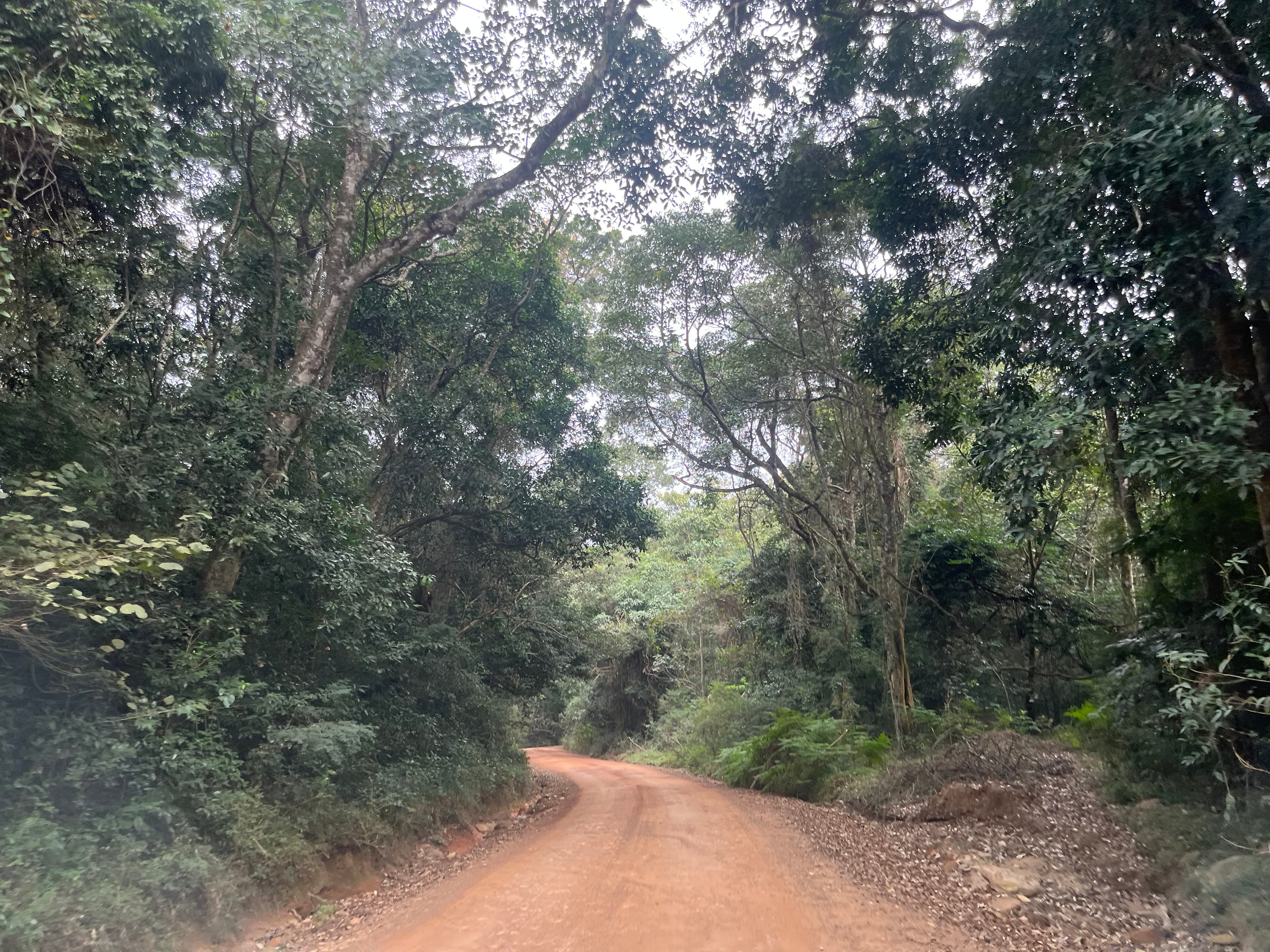 The road to Mboyti