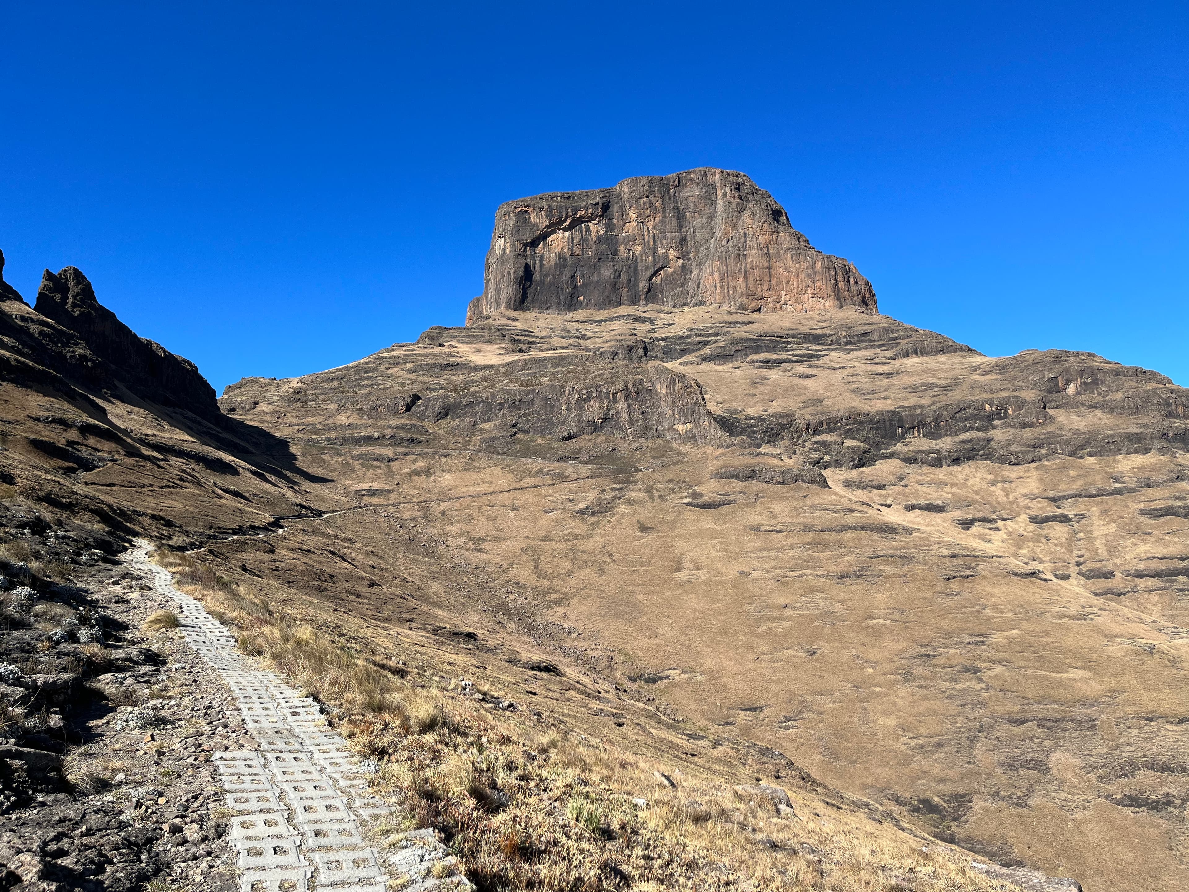 The Sentinel superhighway