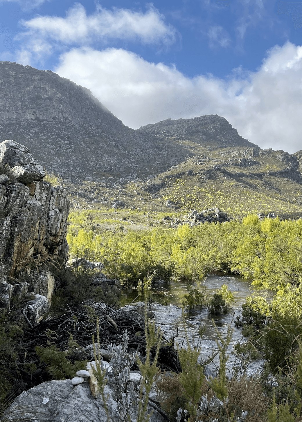 The turn-around point, with Perdevlei in the distance.