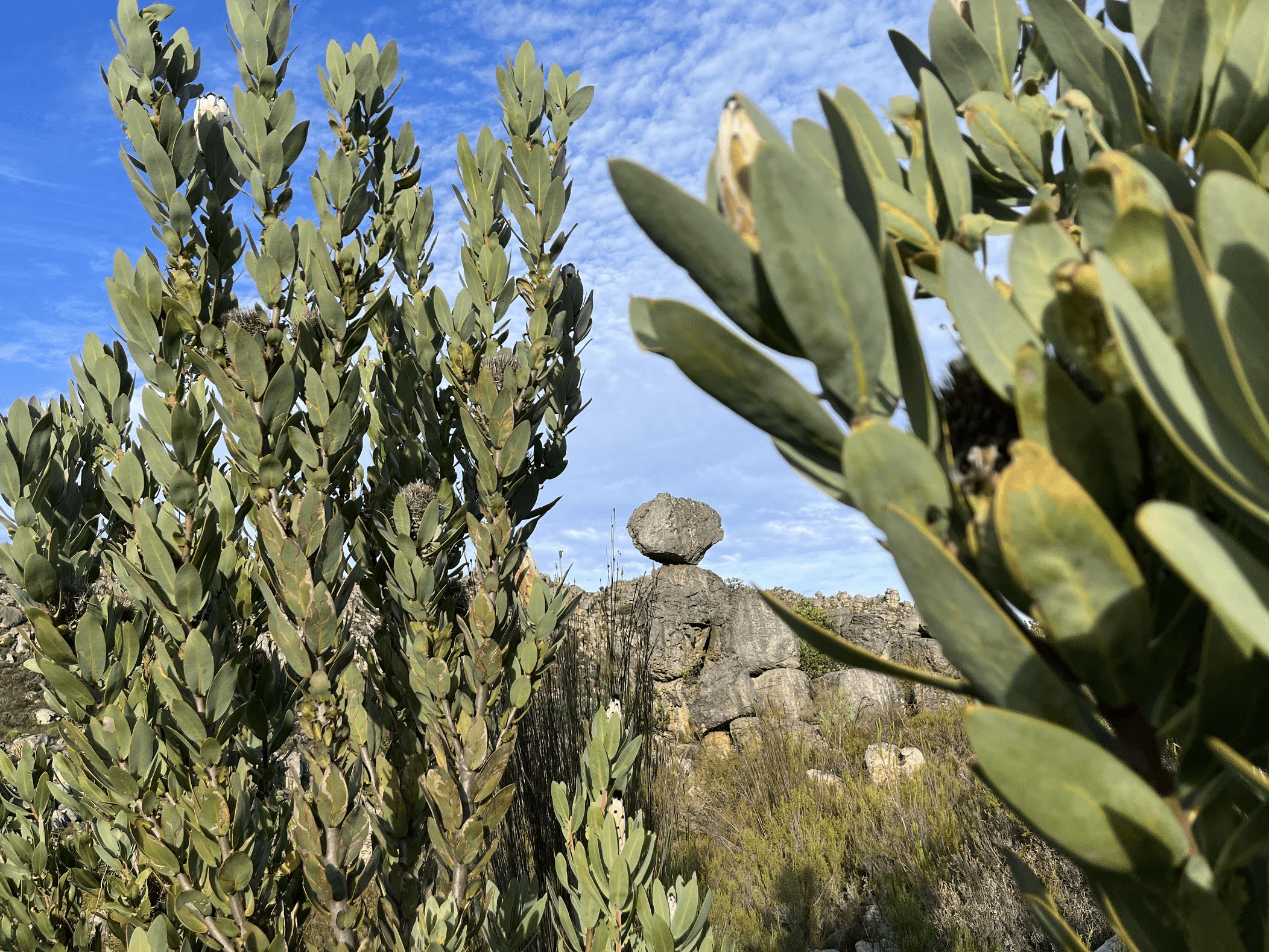 Look up and see a beautiful rock formation?