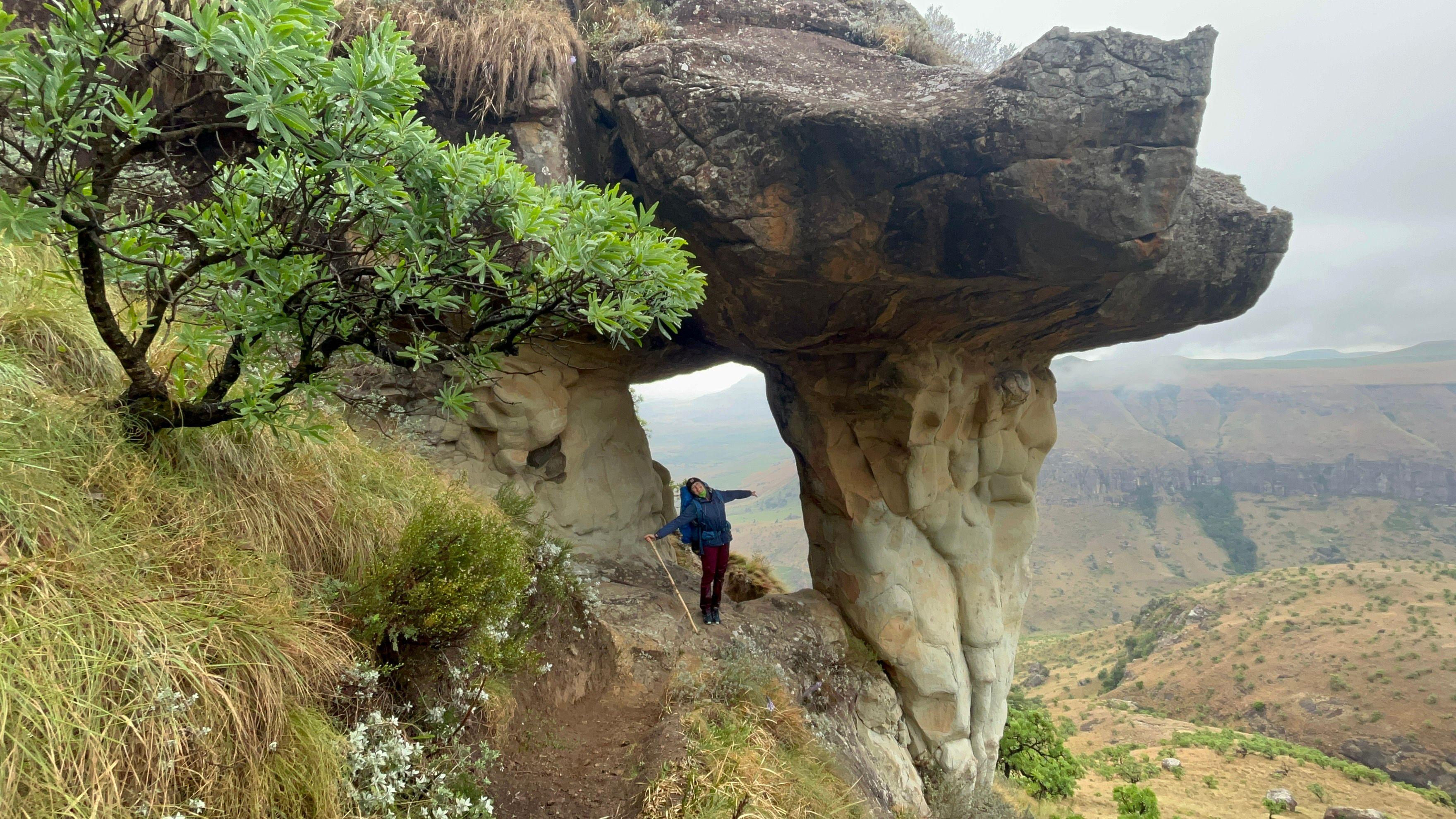 Mushroom rock