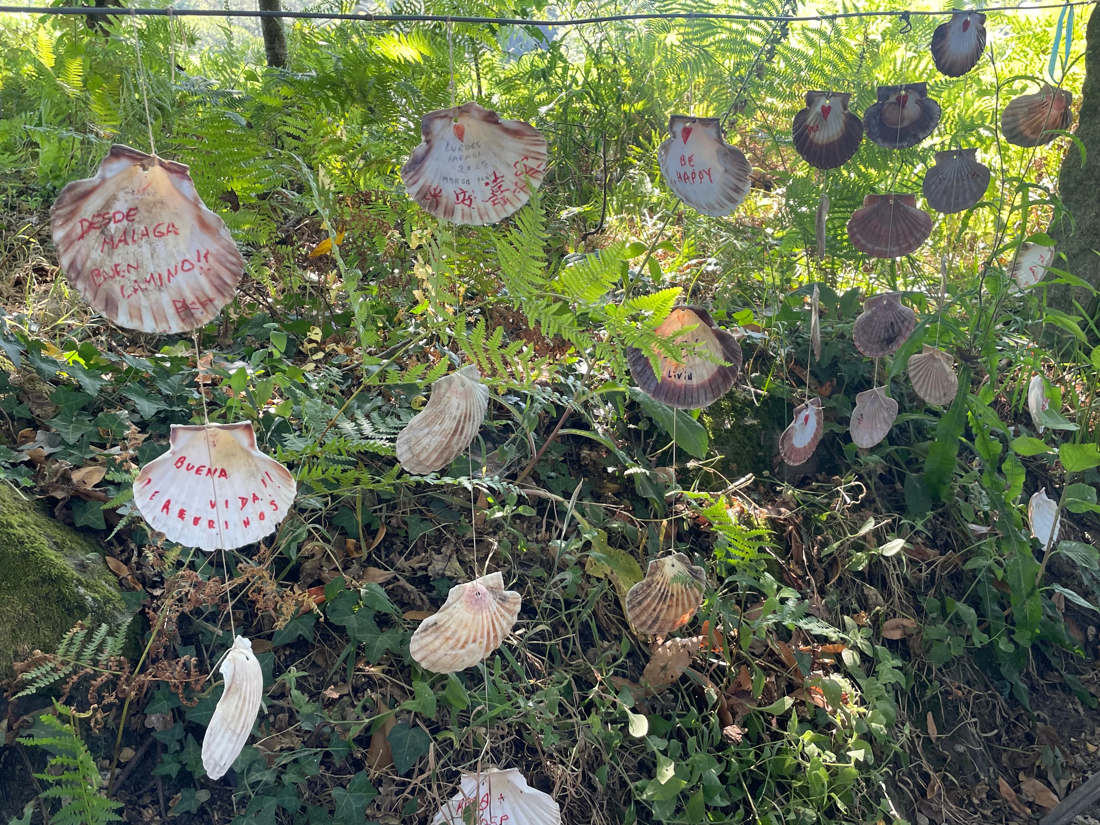 Camino: day 8