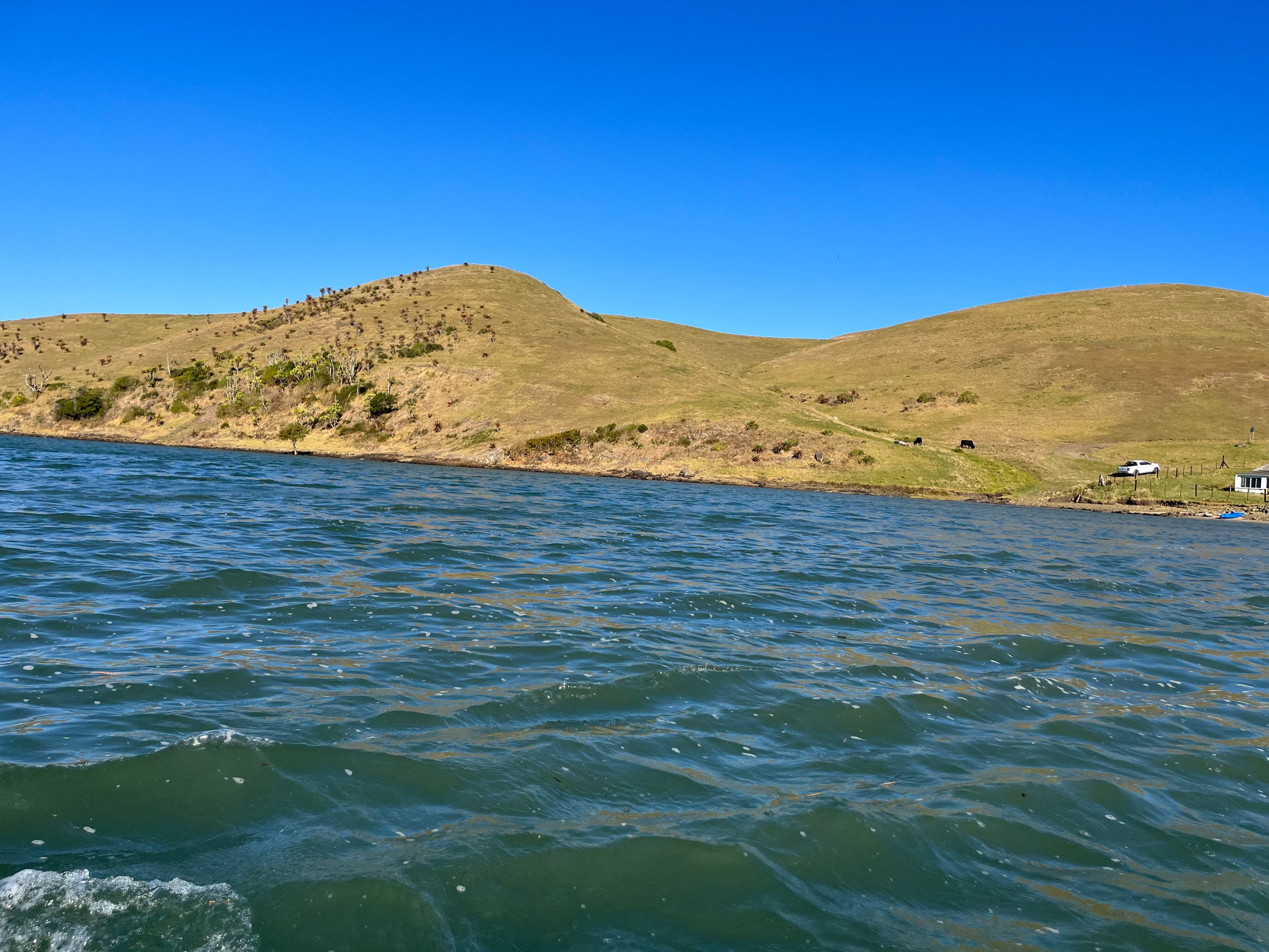 Mthatha river