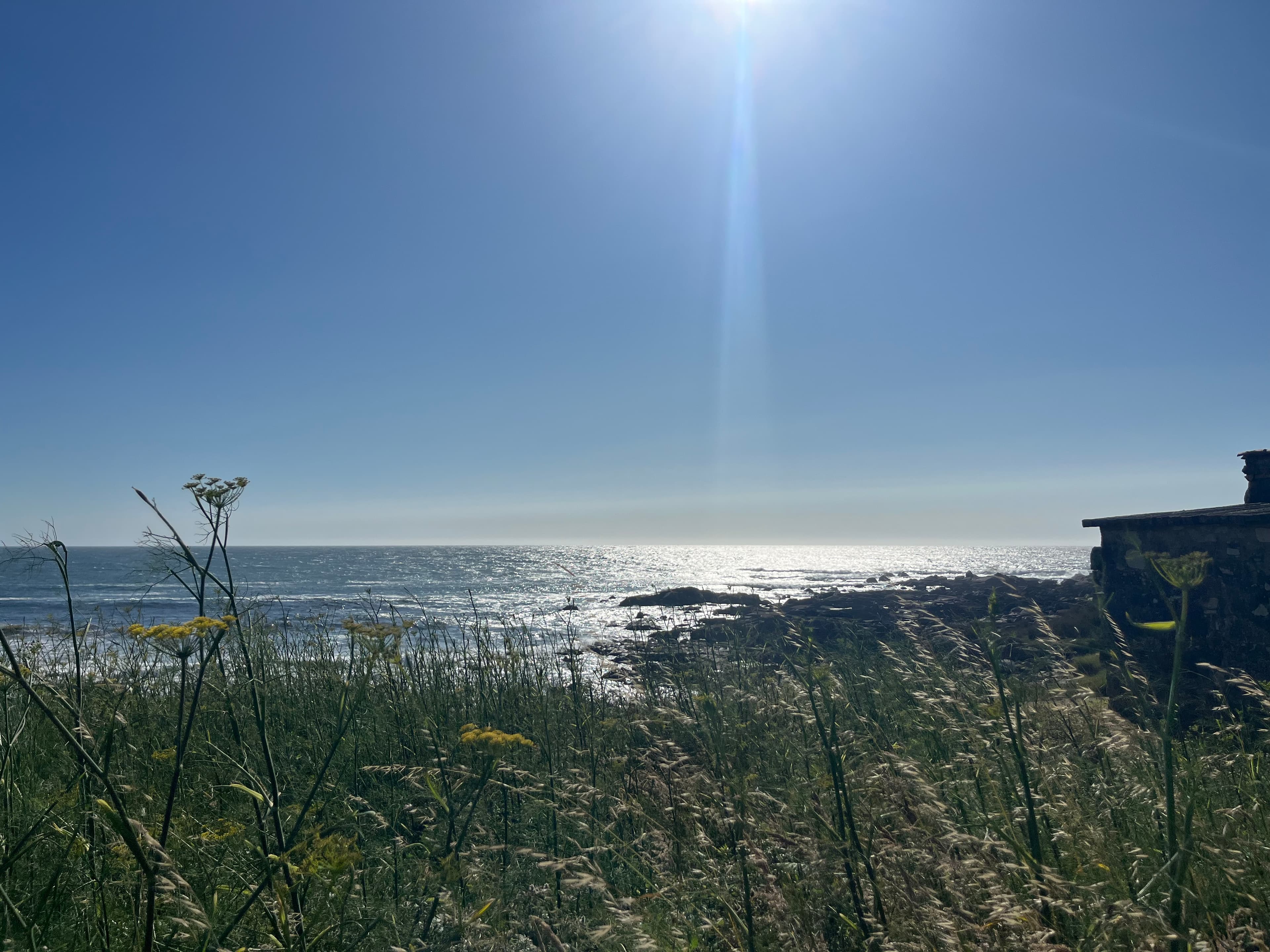 Camino: day 4