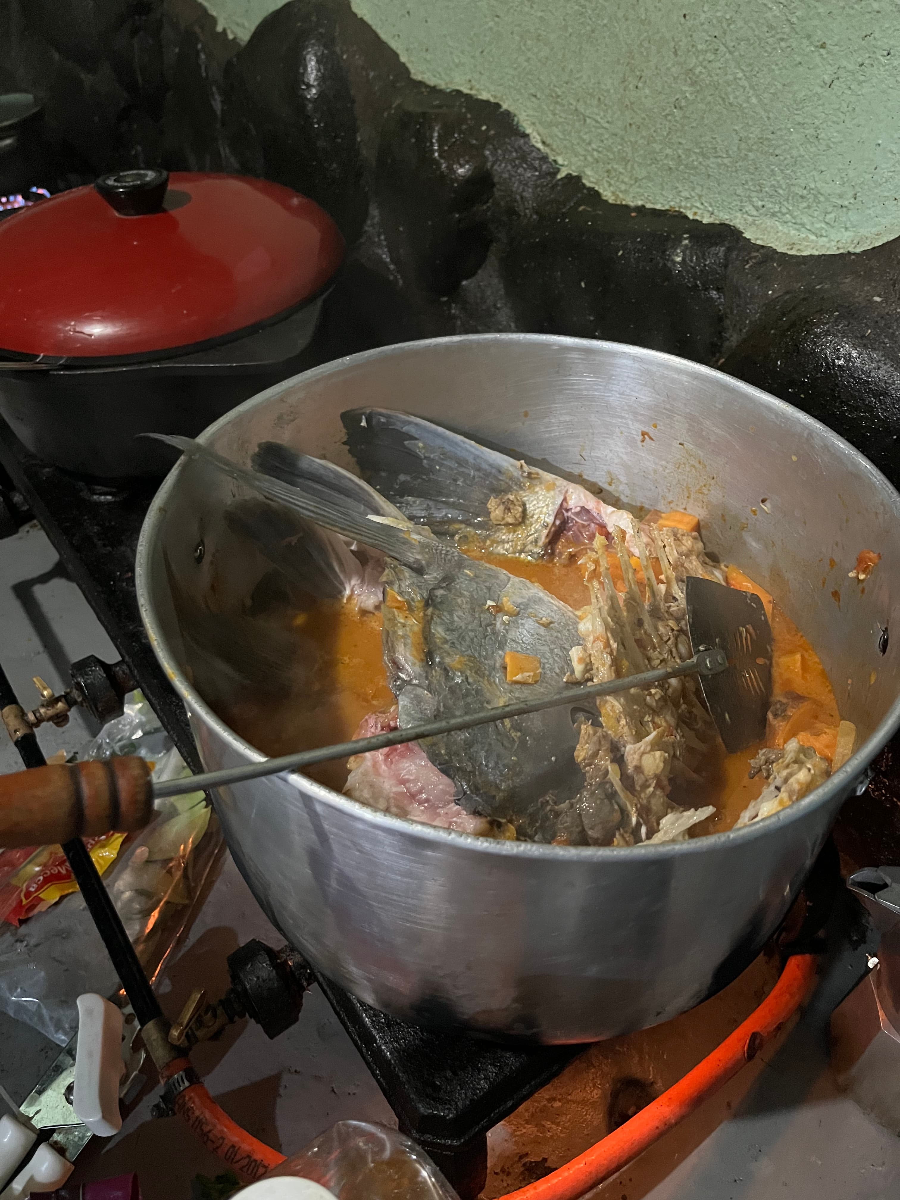 Musselcracker head curry